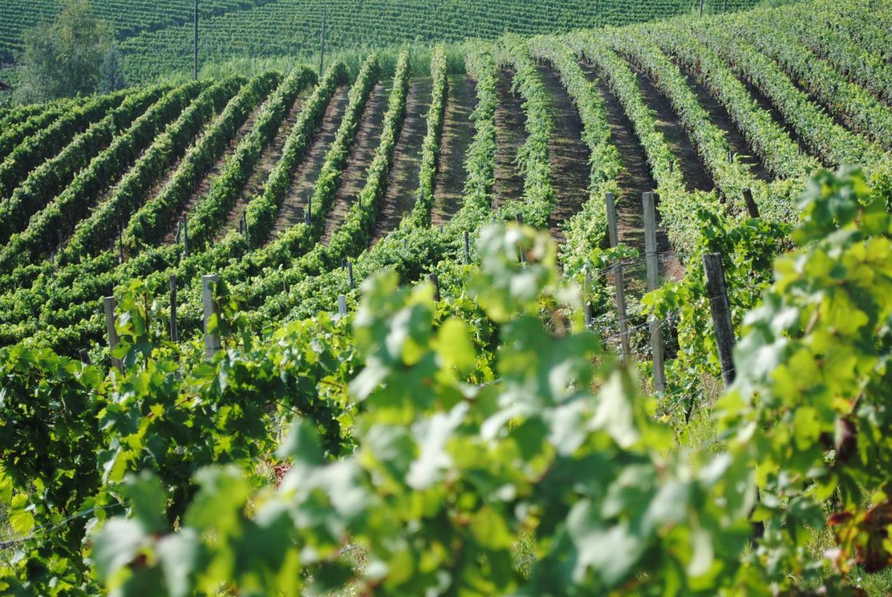 Cascina Dani Villa Agliano Terme Eksteriør bilde